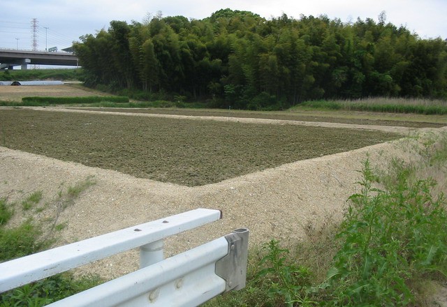 圃場かさ上げ工事